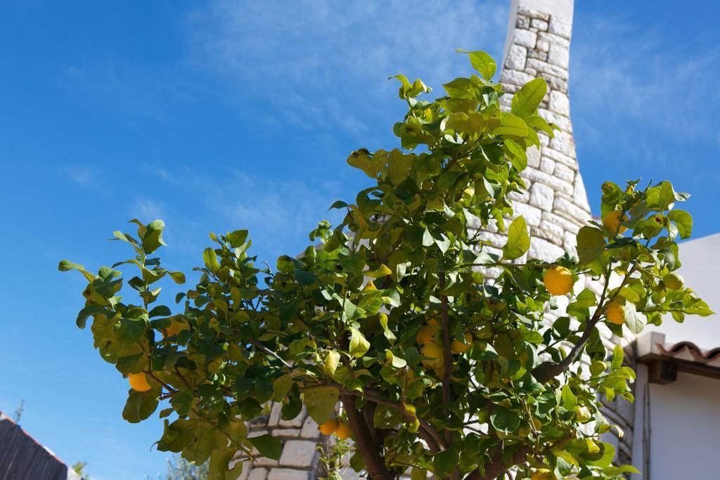 B&B La Pomelia Agrigento Buitenkant foto